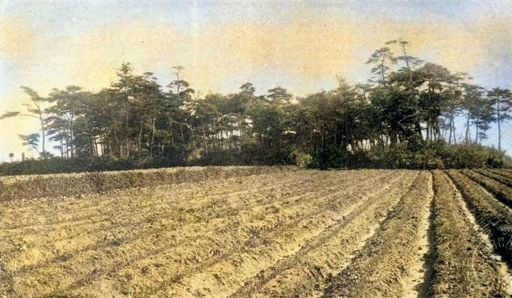 Makikata_kurumazuka1c