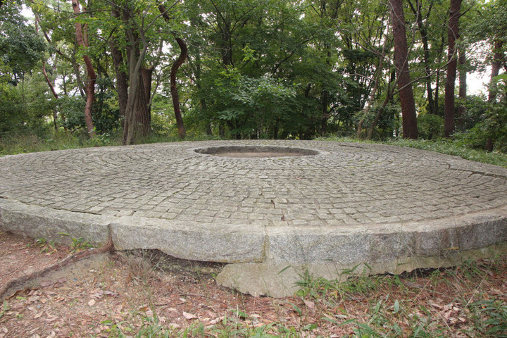 Makinokurumadukakofun5