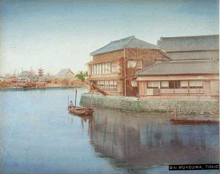 Mukoujim_yaomatsu