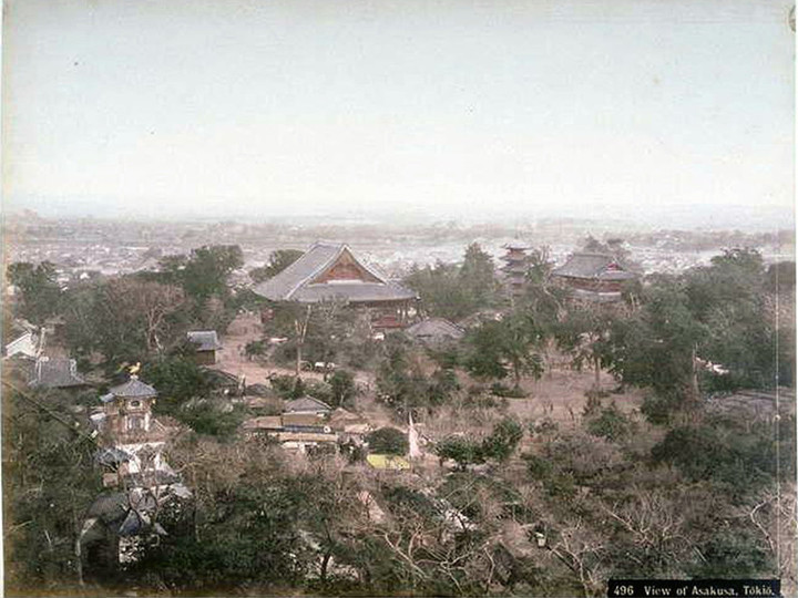 Asakusa_siebold0
