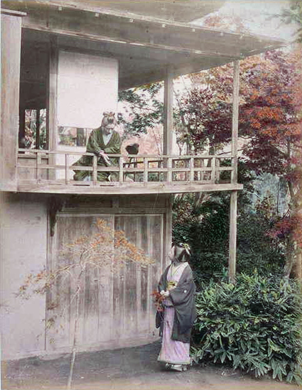 Ojinanushi56