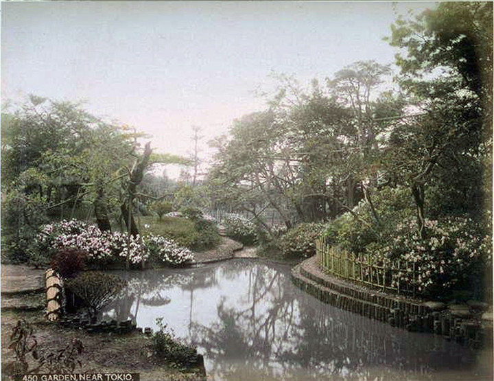Ojiogiya55