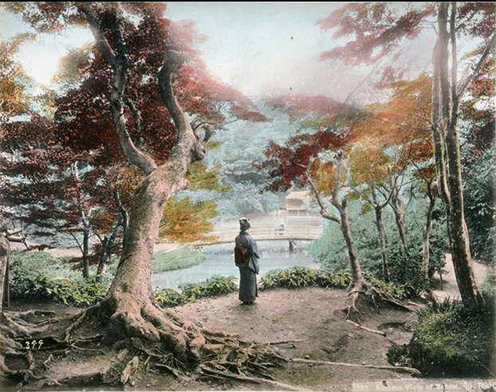 Ojitakinogawa52