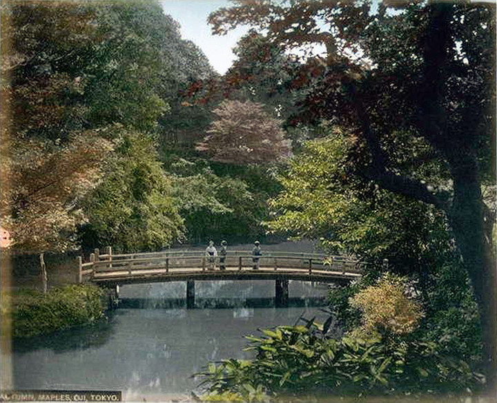 Ojitakinogawa55
