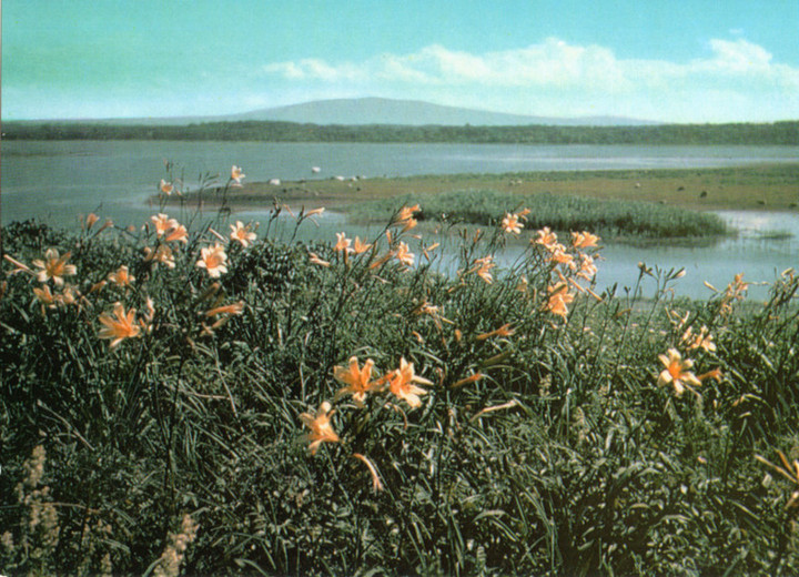 Abashiri_genseikaen2