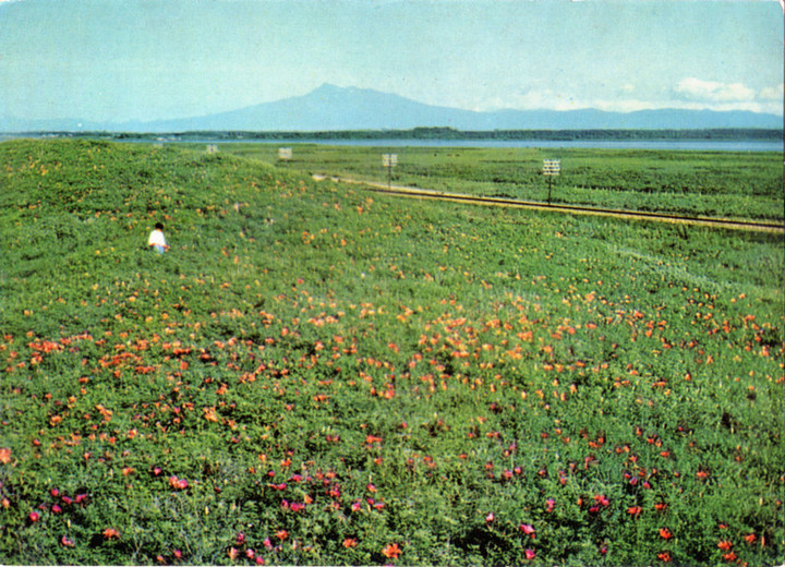 Abashiri_genseikaen3