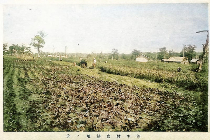 Shibecha_kumaushi273c