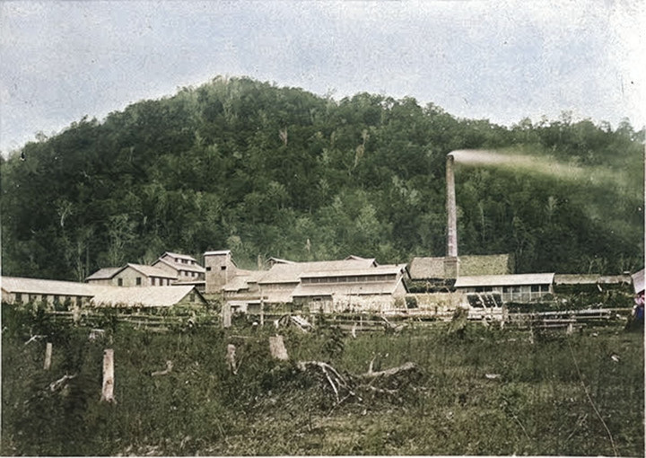 Yoichi_shikaribetsu311c