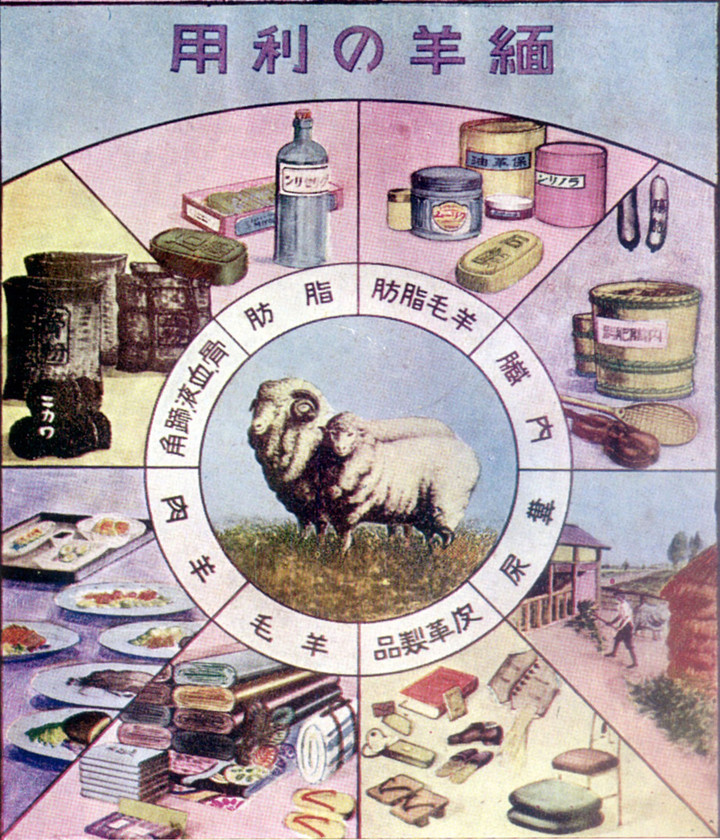 Hitsuji261