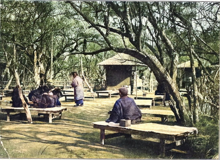 Kameido_garyuume966c