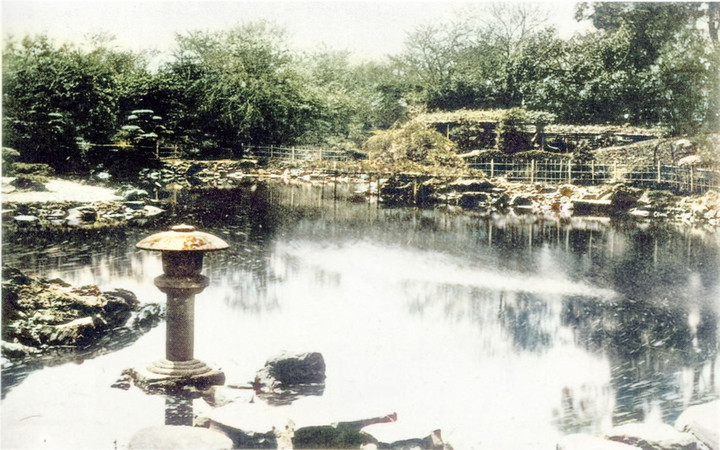 Hamachou_tokushima987c