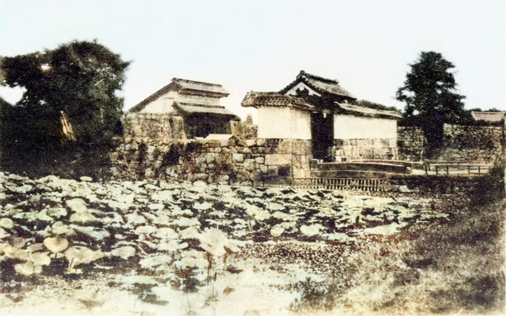 Mitsuke_yamashita981c