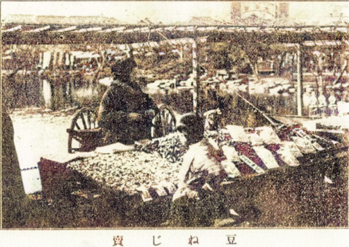 Meiji_mamenegiri911c