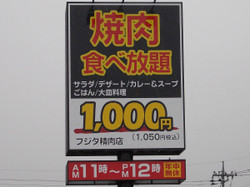 Fujita1000a