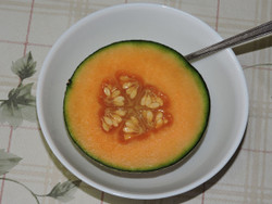 Melon12