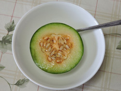 Melon13
