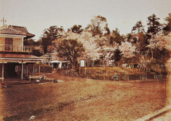 Meiji_uenoseiyouken