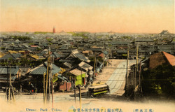 Ueno91