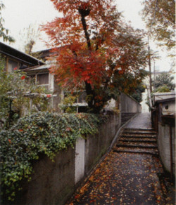 Satohachiro_1990