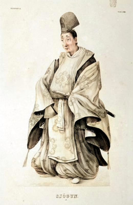 Tokugawaienaric