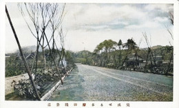 Asakawa43c