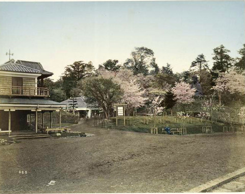 Uenodaibutsu311