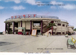 Enoshima601